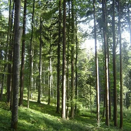 Merkantil Simenta Ilirska Bistrica